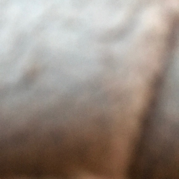 Meet your Posher, Sunny - Picture 1 of 1